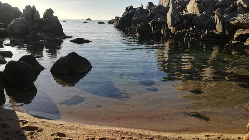 Da Patrizia Hotel Santa Teresa Gallura Kültér fotó