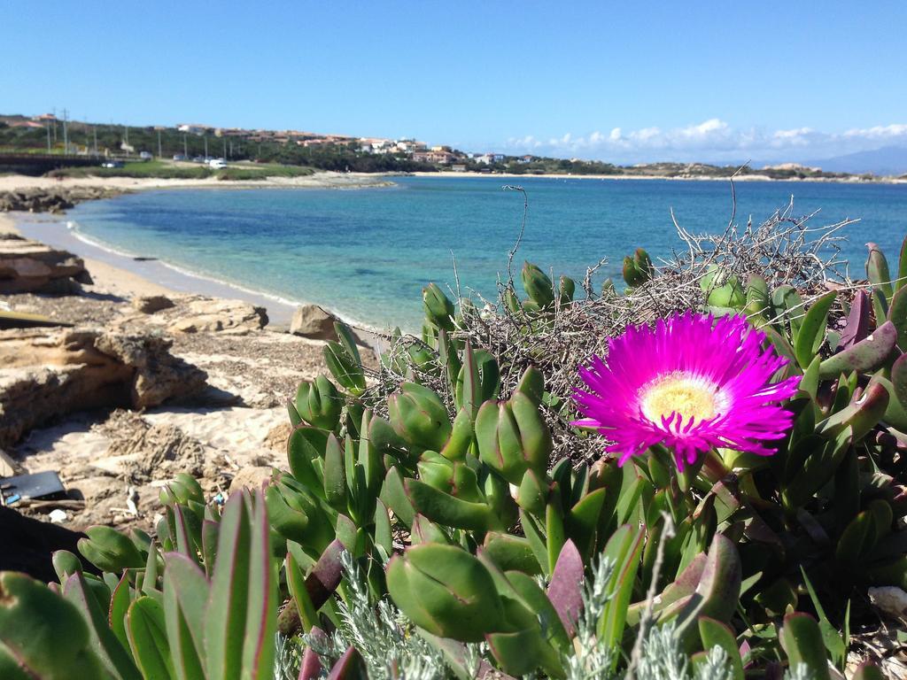 Da Patrizia Hotel Santa Teresa Gallura Kültér fotó