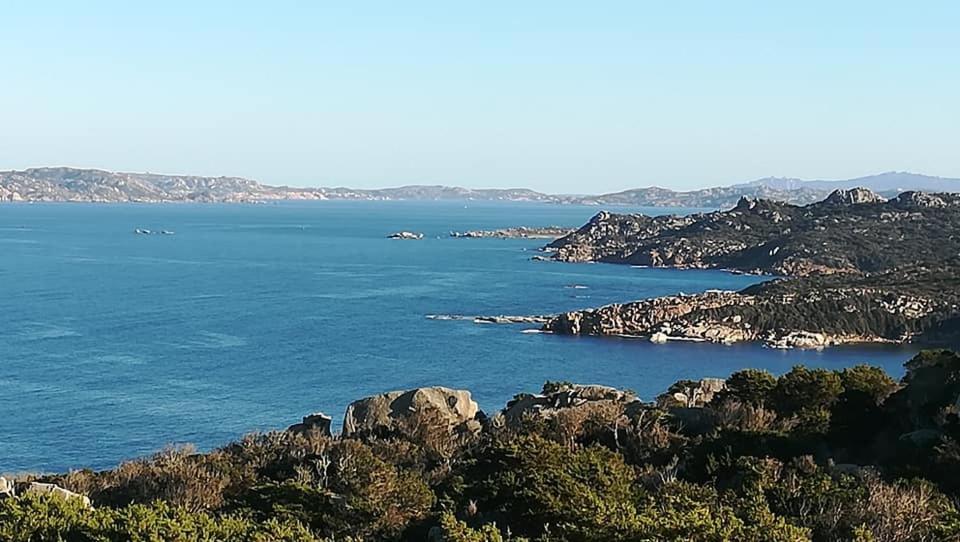 Da Patrizia Hotel Santa Teresa Gallura Kültér fotó